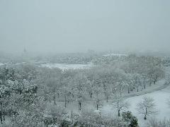 雪景色の航空記念公園の写真