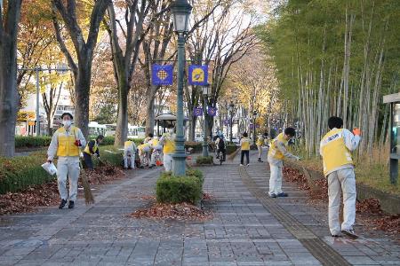 市役所前の並木通りで落ち葉掃きをする職員ボランティア