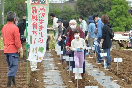 サトイモの種イモを手に畑の持ち場につく参加者たち