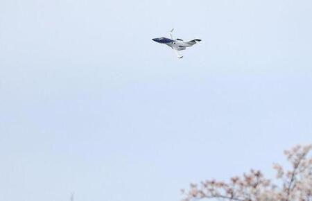 航空記念公園上空を飛ぶホンダジェット